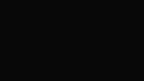 29073