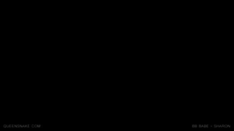 16053