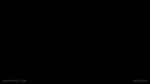 11730